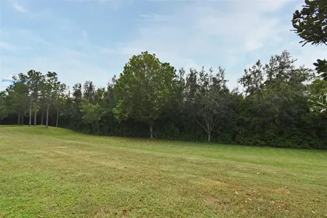 1524 Downy Birch Lane Longwood FL 32750