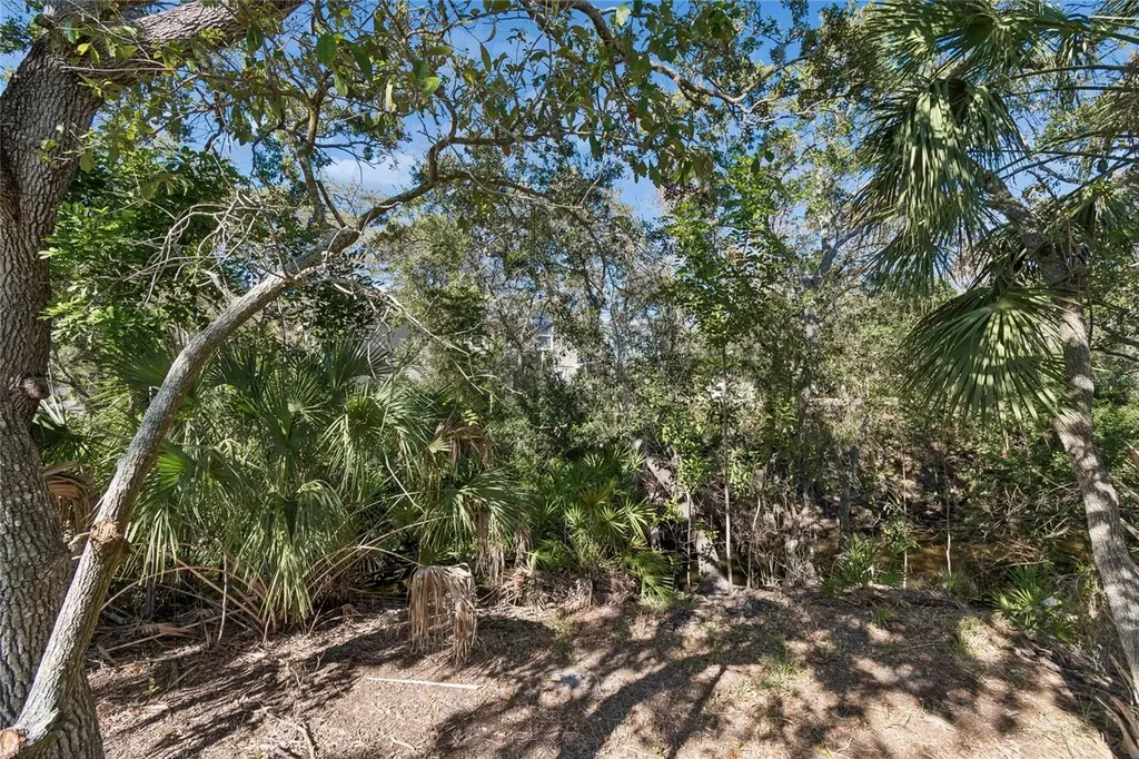483 Harbor Springs Drive Palm Harbor FL 34683