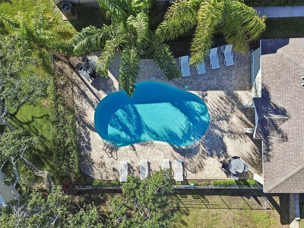 483 Harbor Springs Drive Palm Harbor FL 34683
