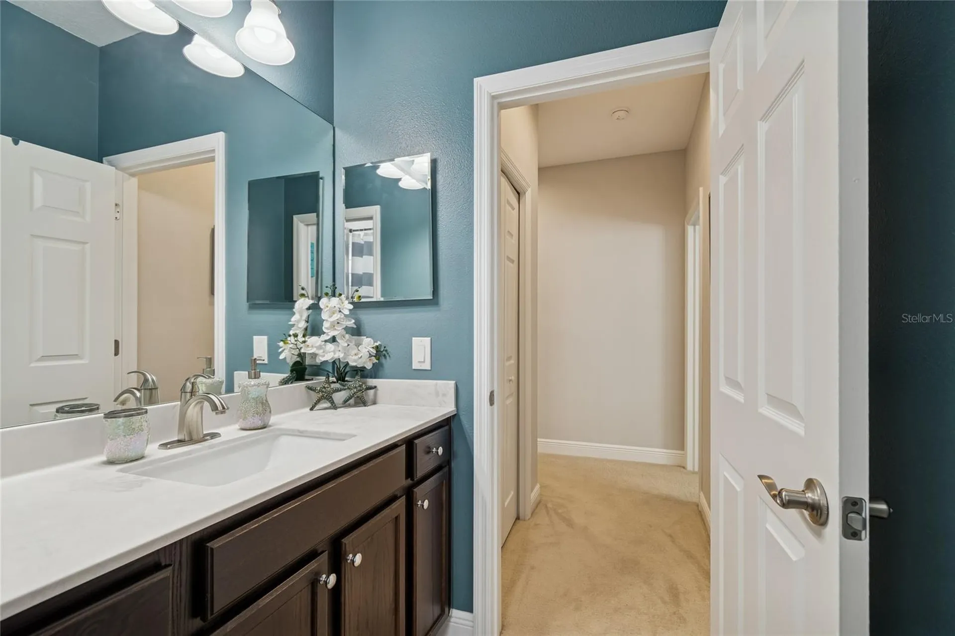 483 Harbor Springs Drive Palm Harbor FL 34683