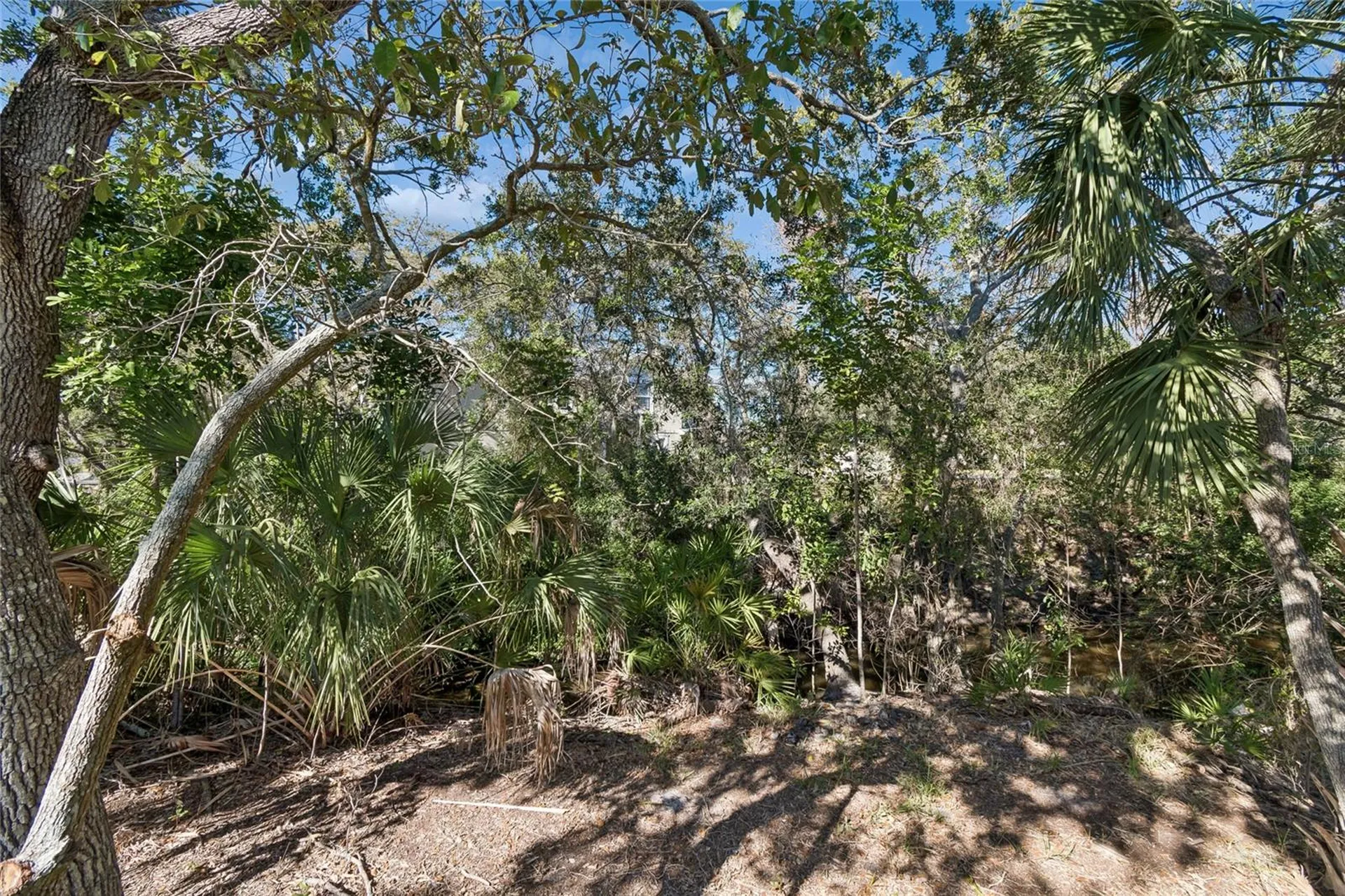483 Harbor Springs Drive Palm Harbor FL 34683