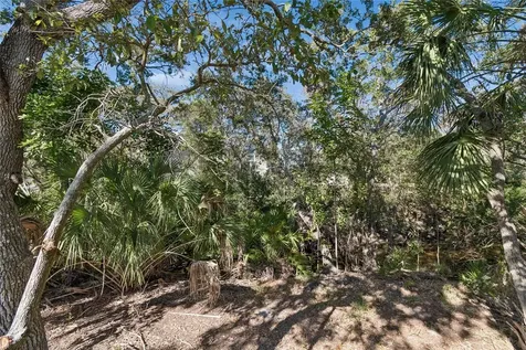 483 Harbor Springs Drive Palm Harbor FL 34683