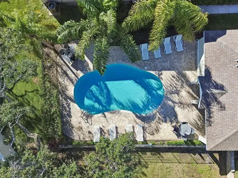 483 Harbor Springs Drive Palm Harbor FL 34683