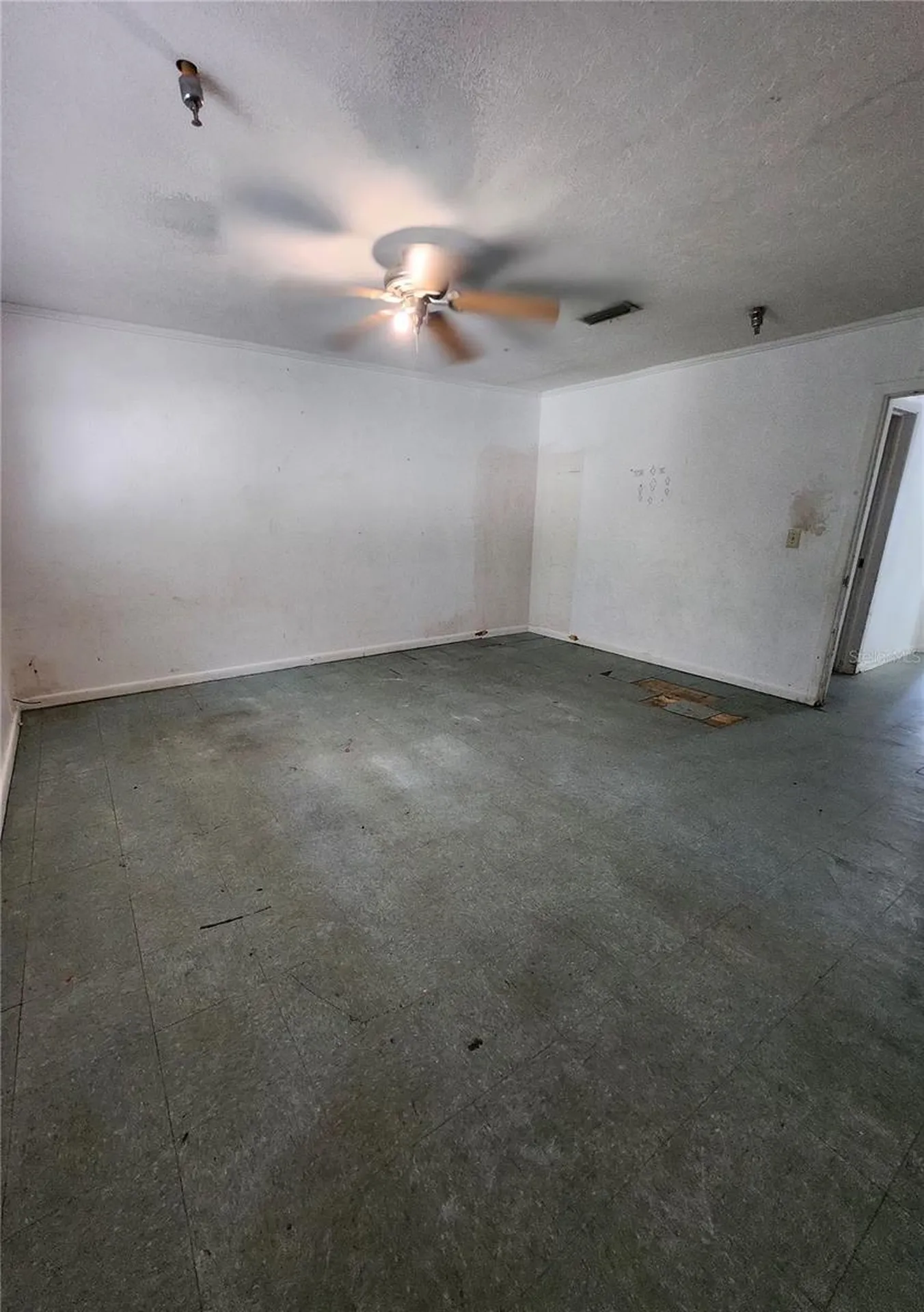 15319 NW 140th Street Alachua FL 32615