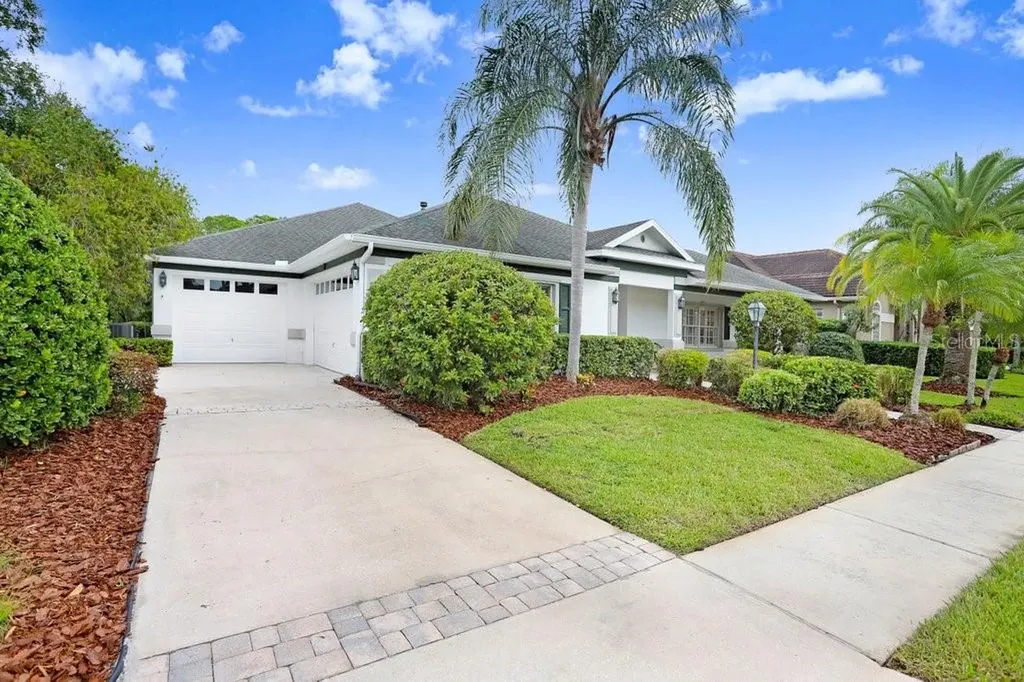 12009 Brewster Drive Tampa FL 33626