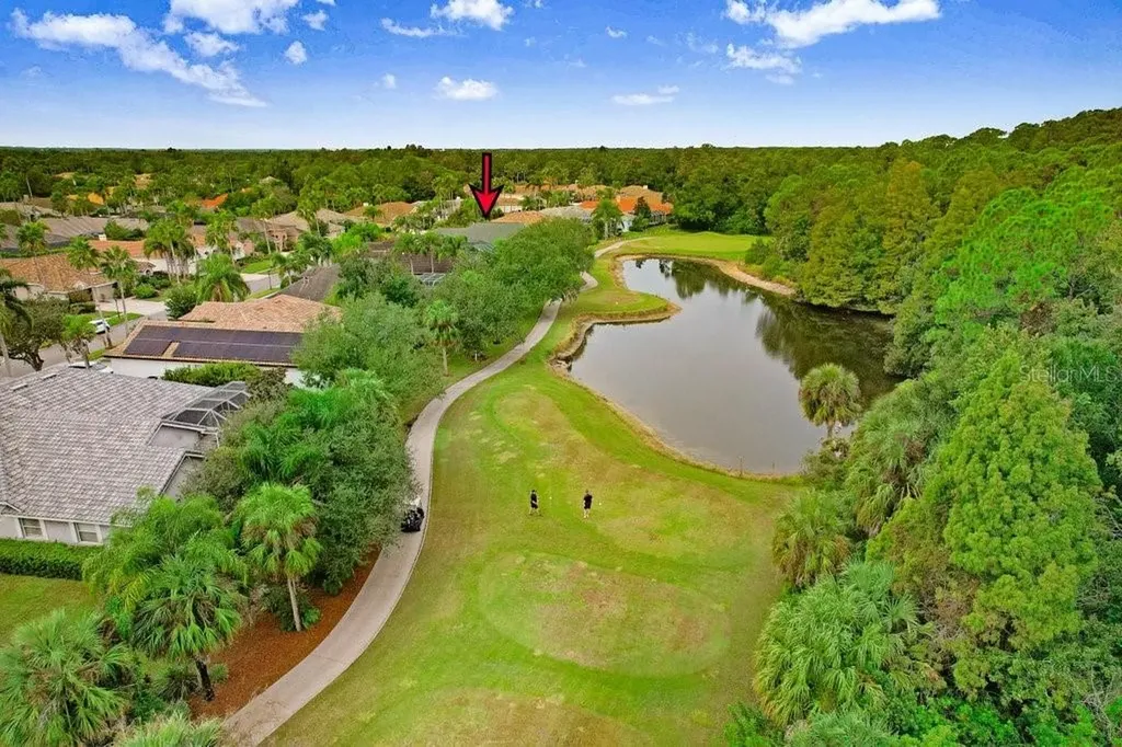 12009 Brewster Drive Tampa FL 33626