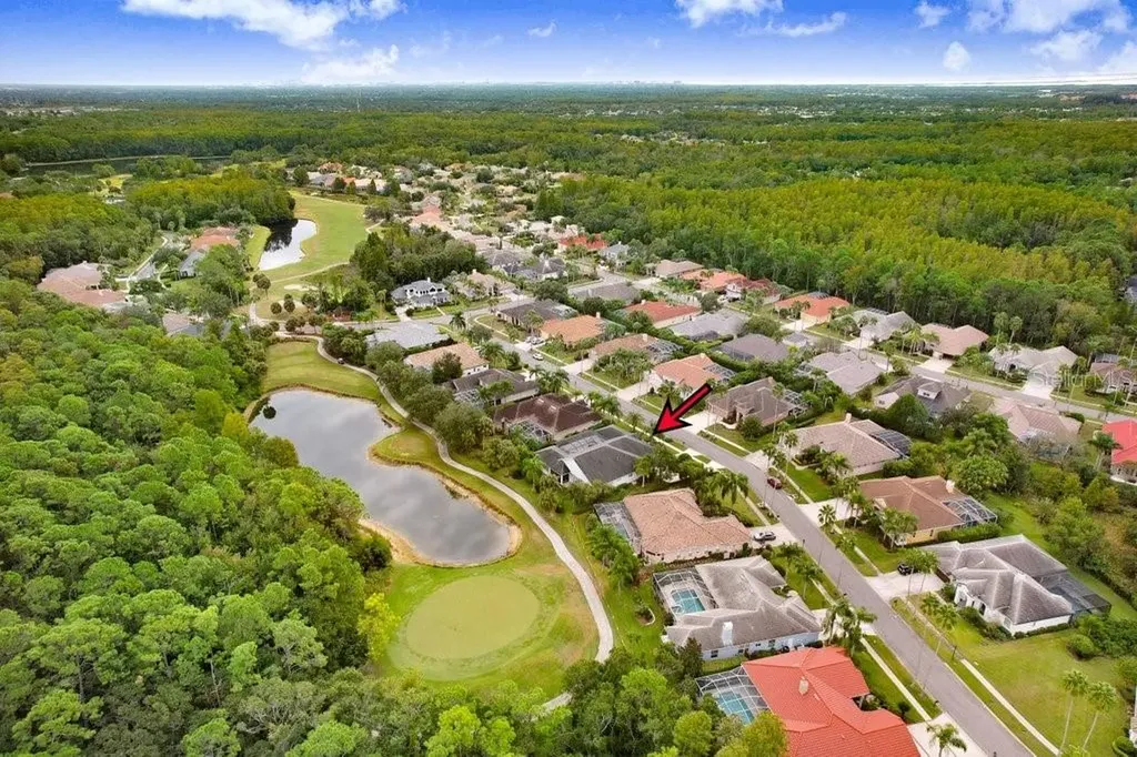 12009 Brewster Drive Tampa FL 33626