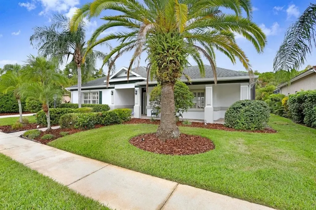 12009 Brewster Drive Tampa FL 33626