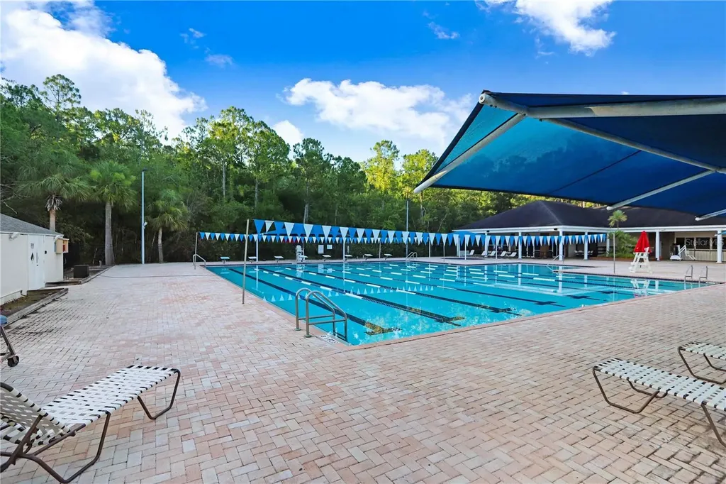 12009 Brewster Drive Tampa FL 33626