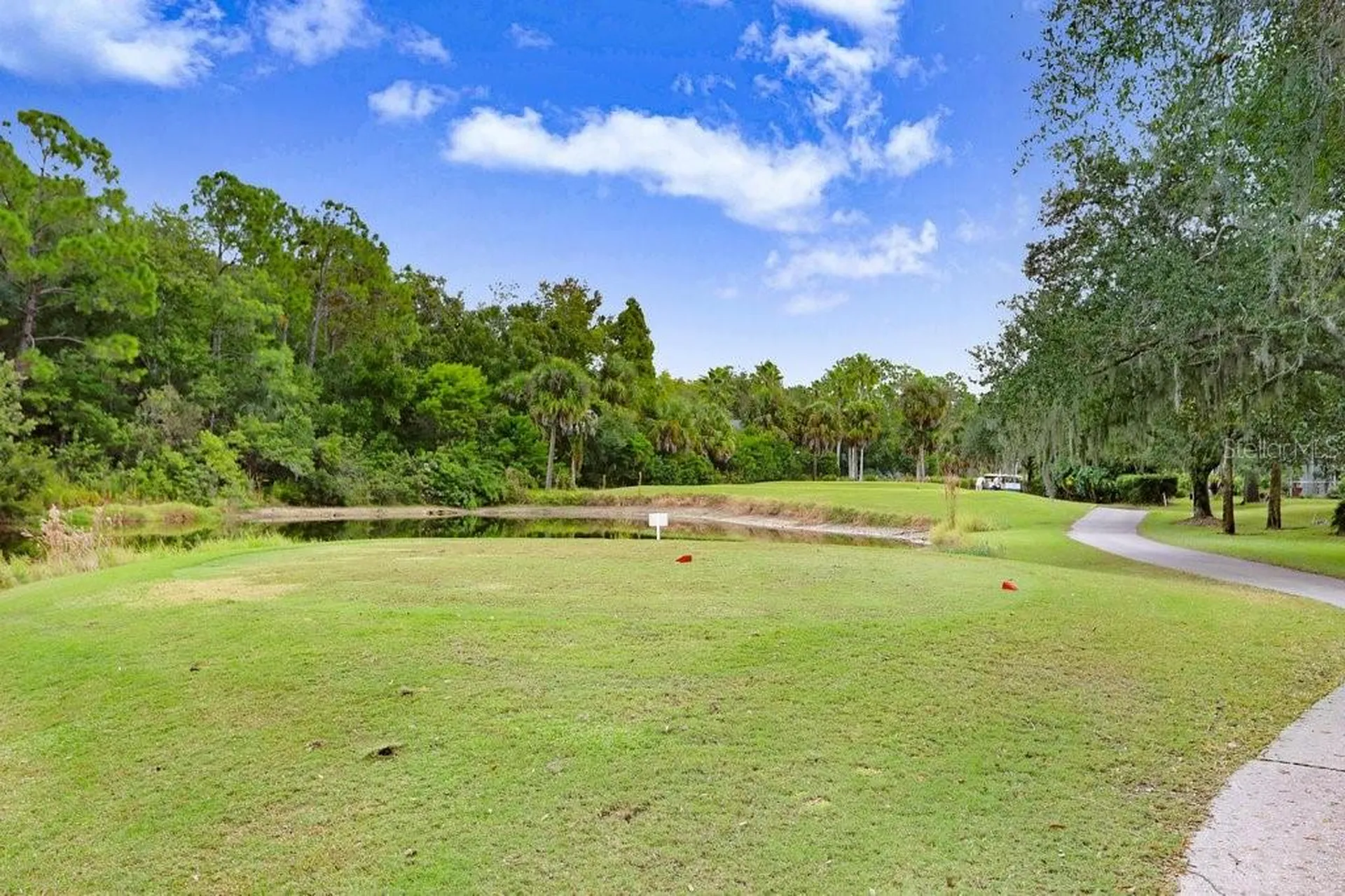 12009 Brewster Drive Tampa FL 33626