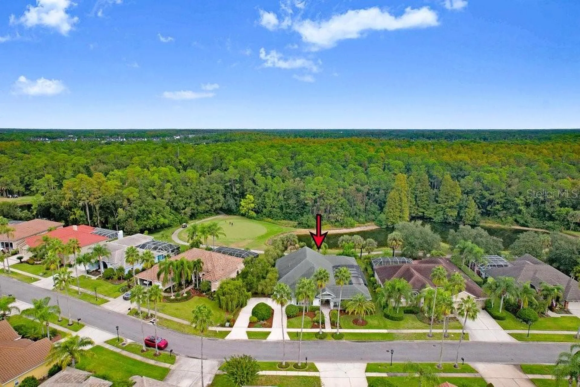 12009 Brewster Drive Tampa FL 33626