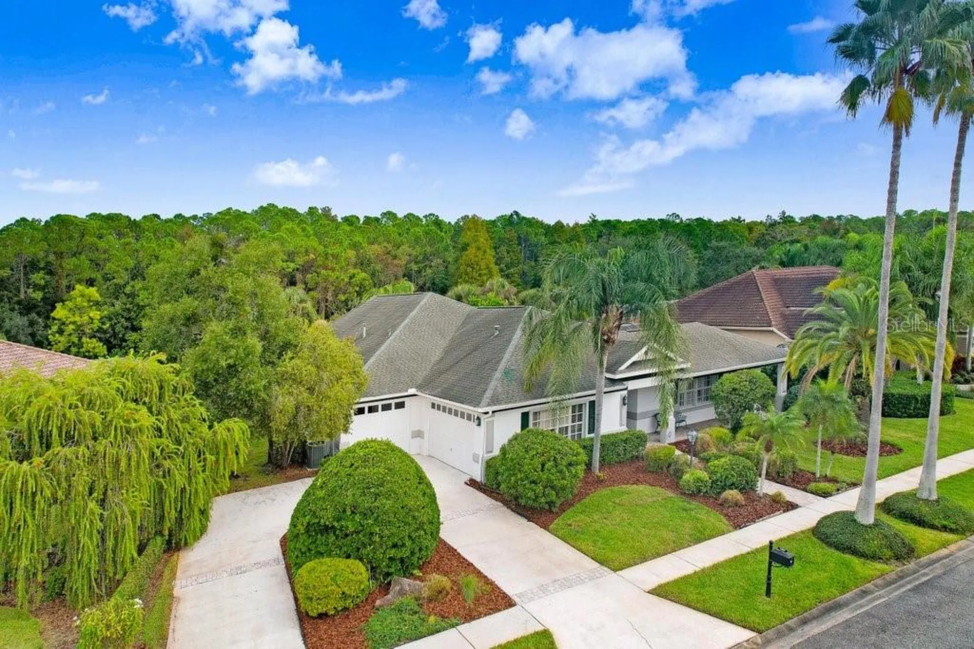 12009 Brewster Drive Tampa FL 33626