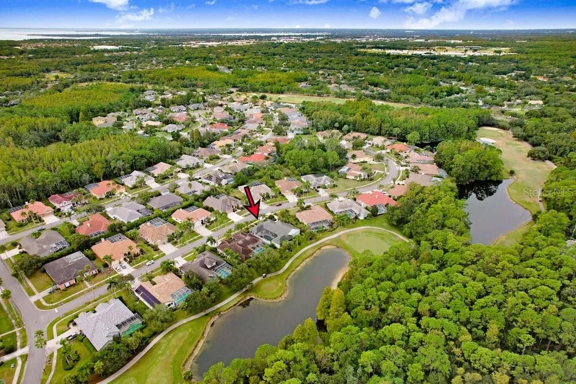 12009 Brewster Drive Tampa FL 33626