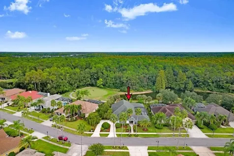 12009 Brewster Drive Tampa FL 33626