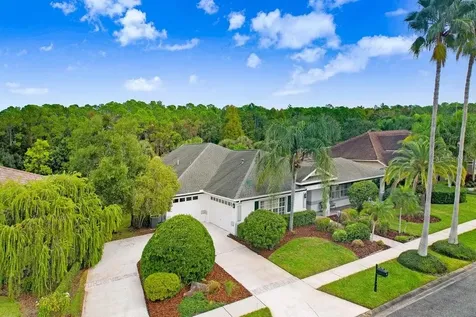 12009 Brewster Drive Tampa FL 33626