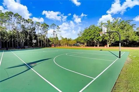 12009 Brewster Drive Tampa FL 33626