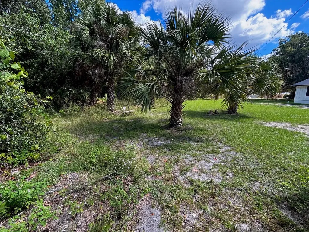 404 Grove Street Melrose FL 32666