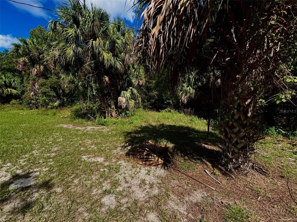 404 Grove Street Melrose FL 32666