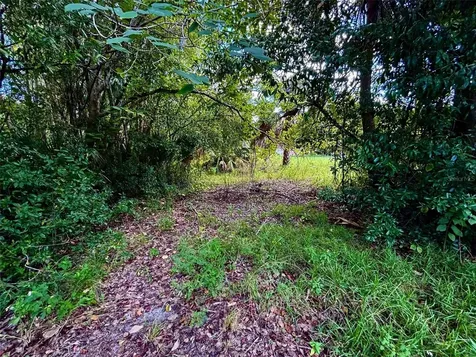 404 Grove Street Melrose FL 32666