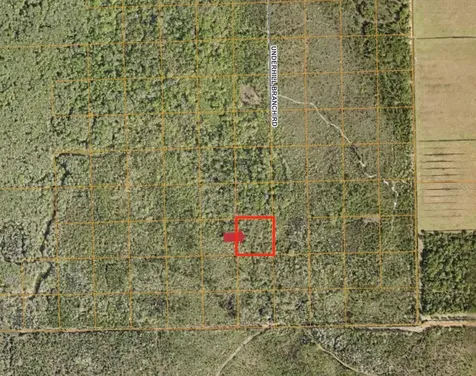 Lake Harney Road Osteen FL 32764