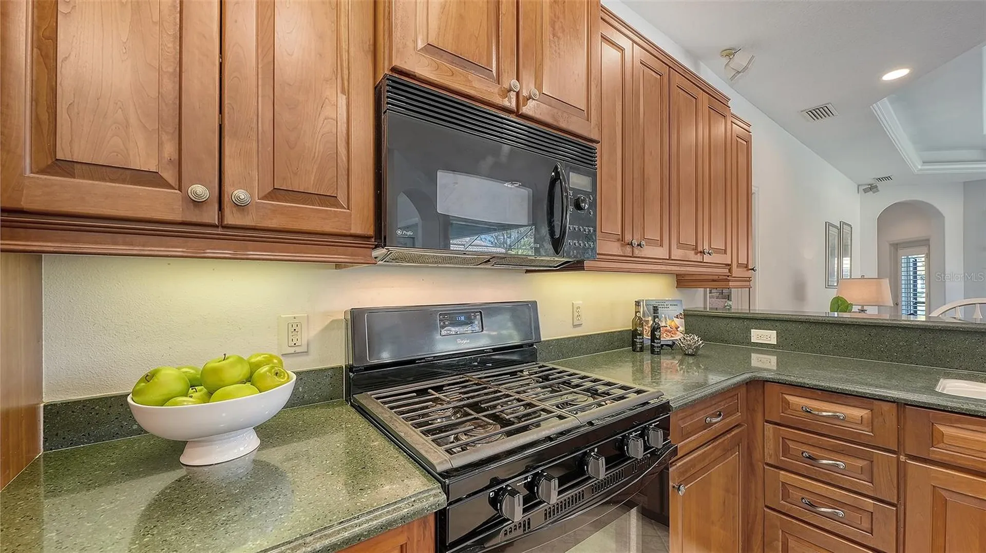 665 Crane Prairie Way Osprey FL 34229