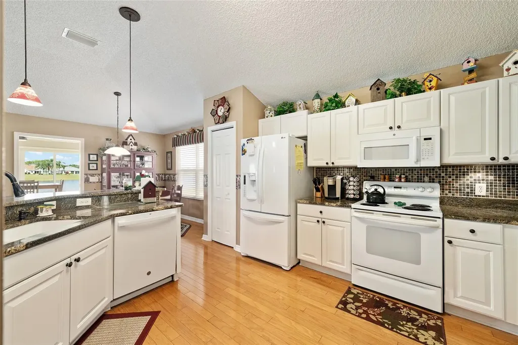 2054 Palo Alto Avenue The Villages FL 32159
