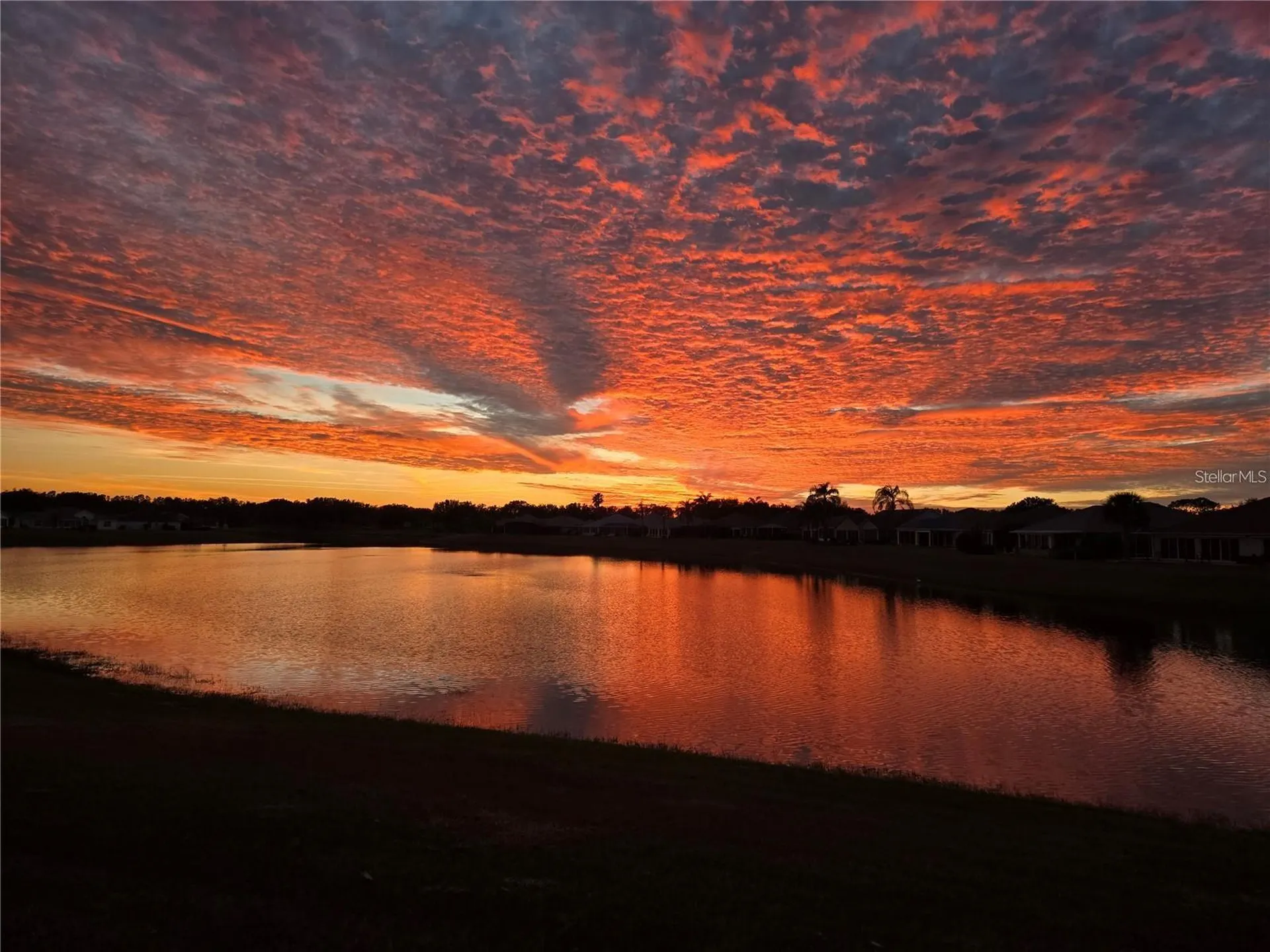 2054 Palo Alto Avenue The Villages FL 32159