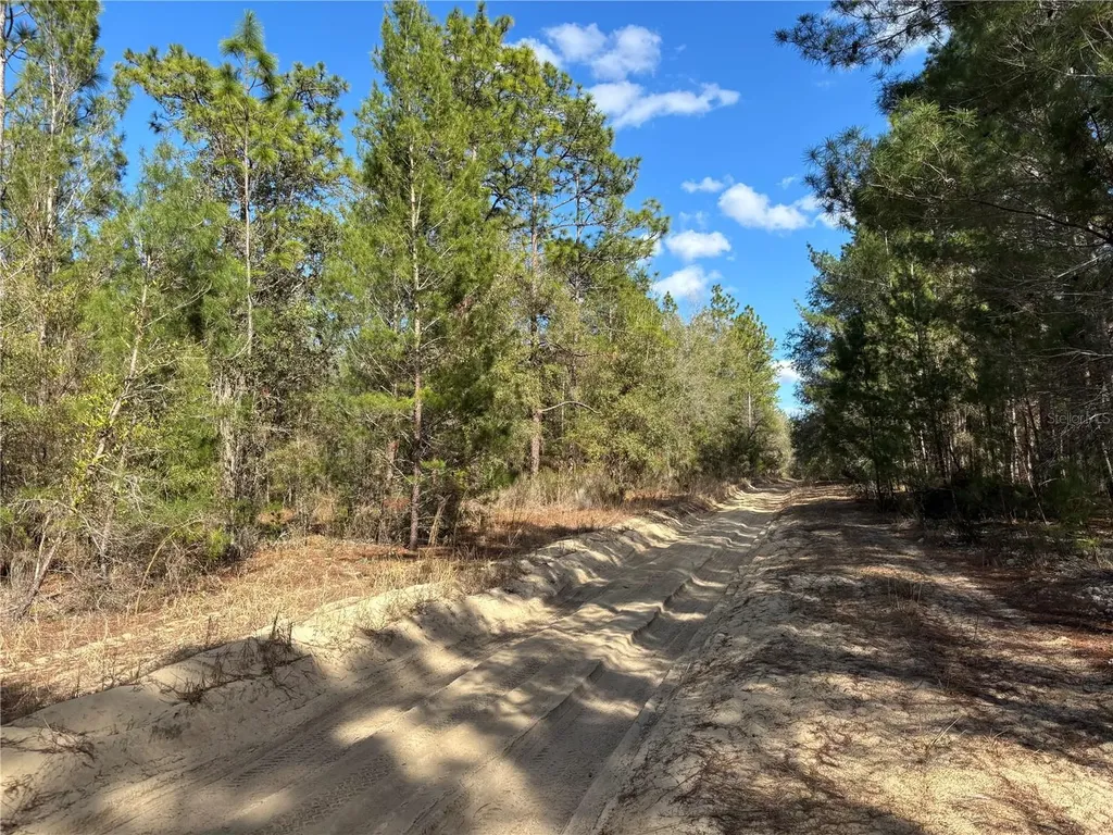 171 7th Way Interlachen FL 32148