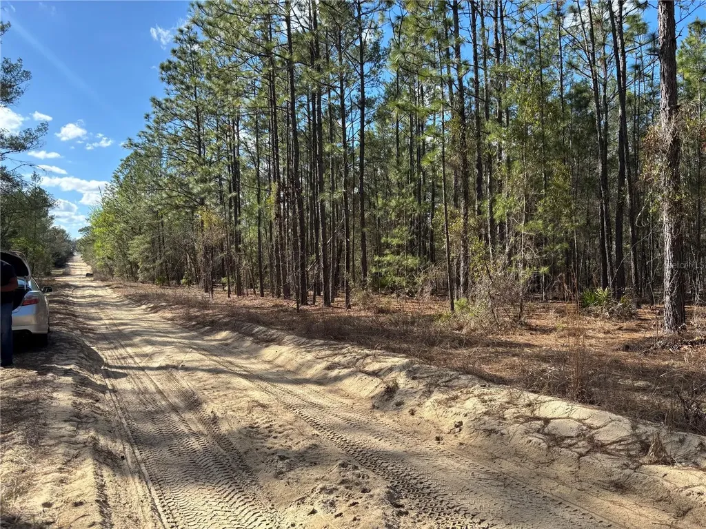 171 7th Way Interlachen FL 32148