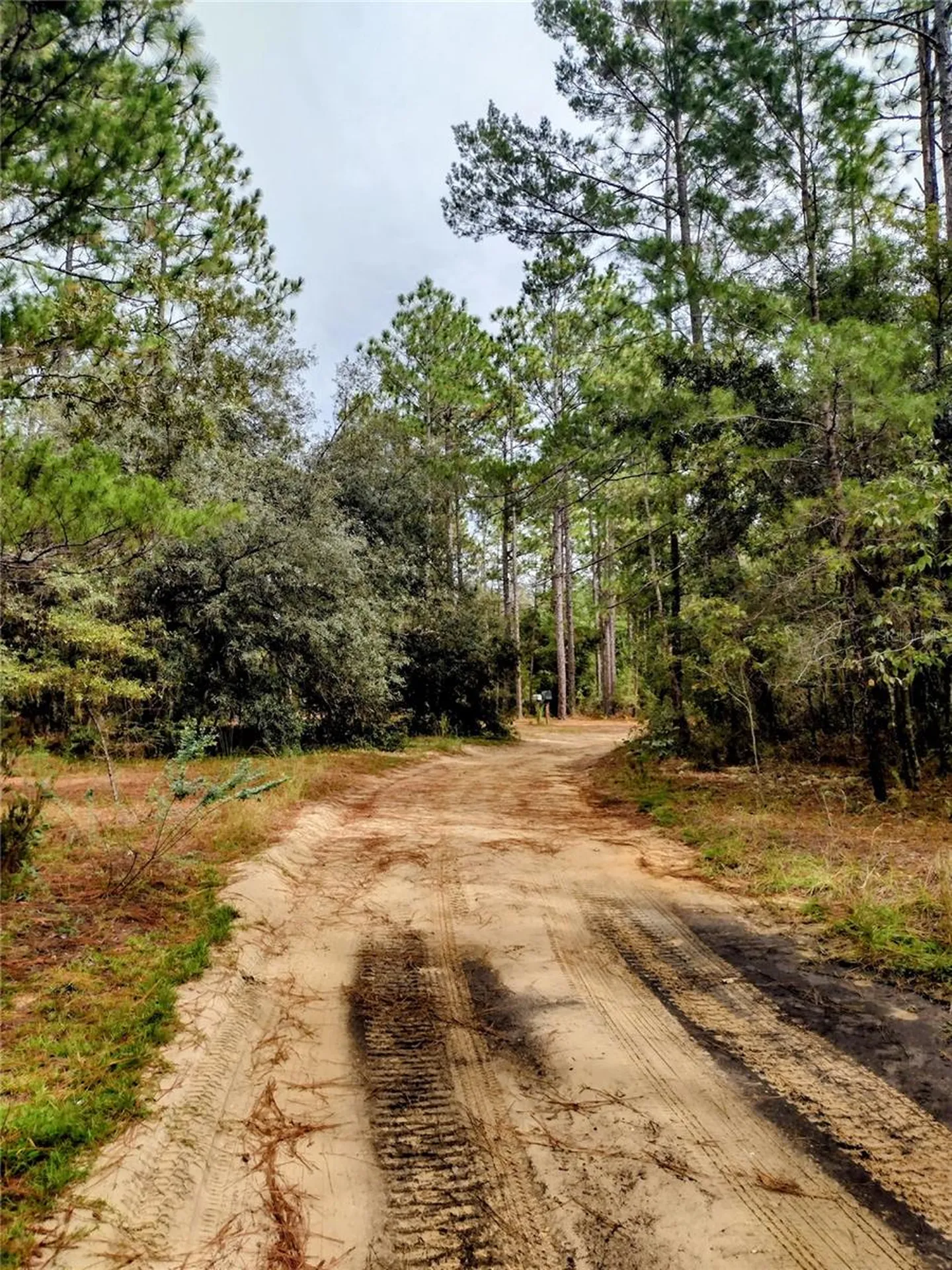 171 7th Way Interlachen FL 32148