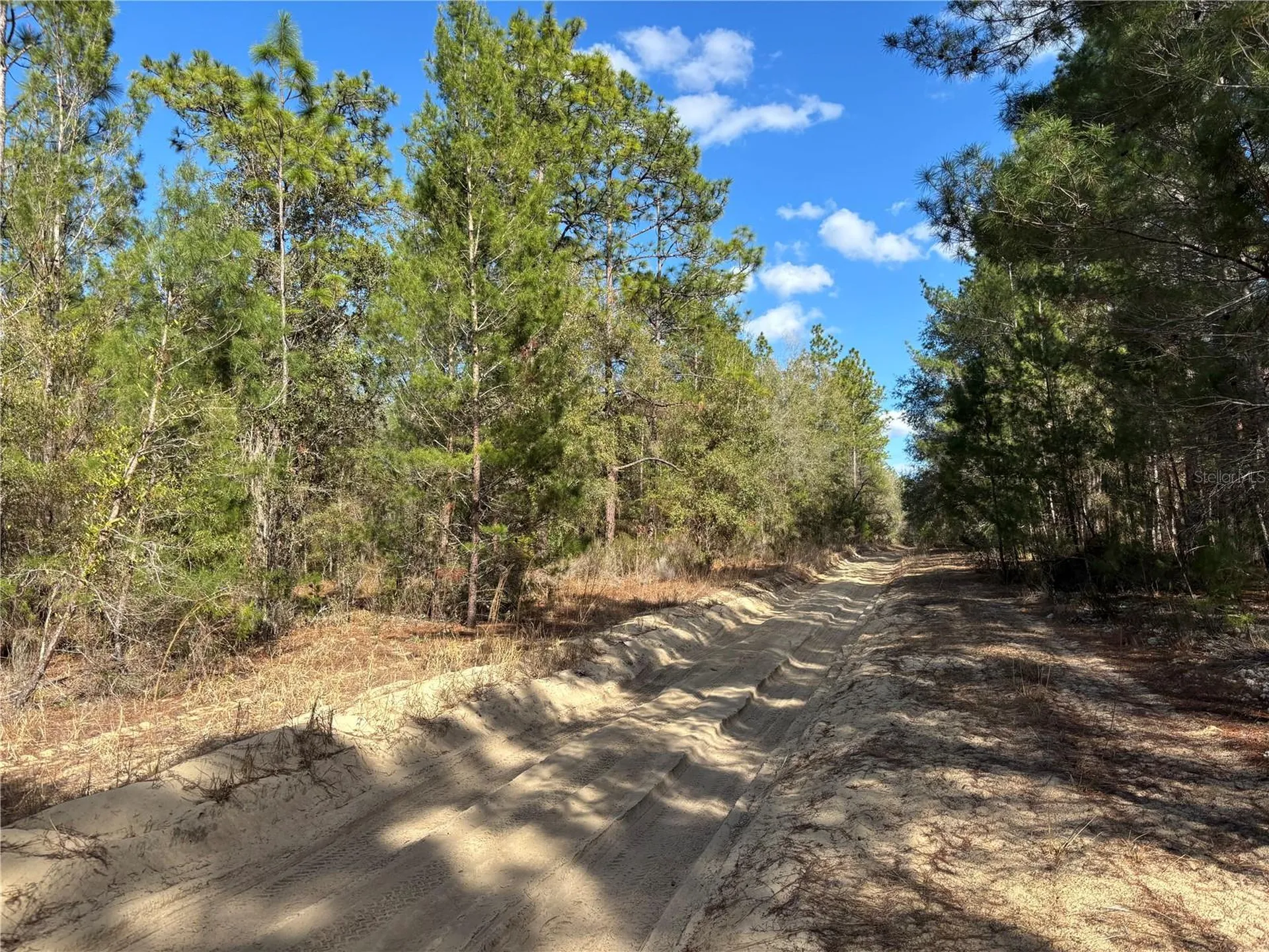 171 7th Way Interlachen FL 32148