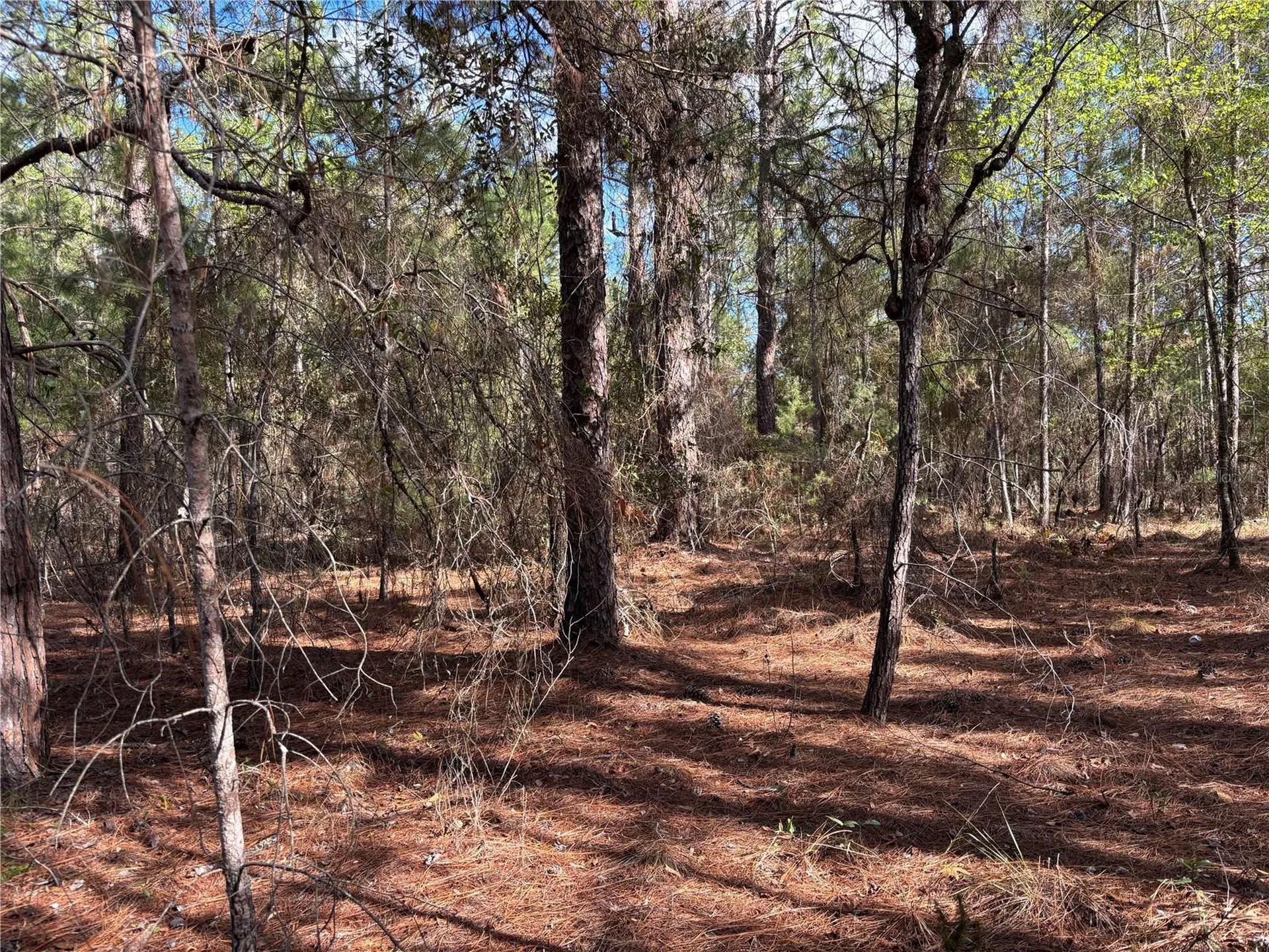 171 7th Way Interlachen FL 32148