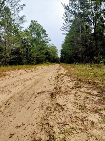 171 7th Way Interlachen FL 32148