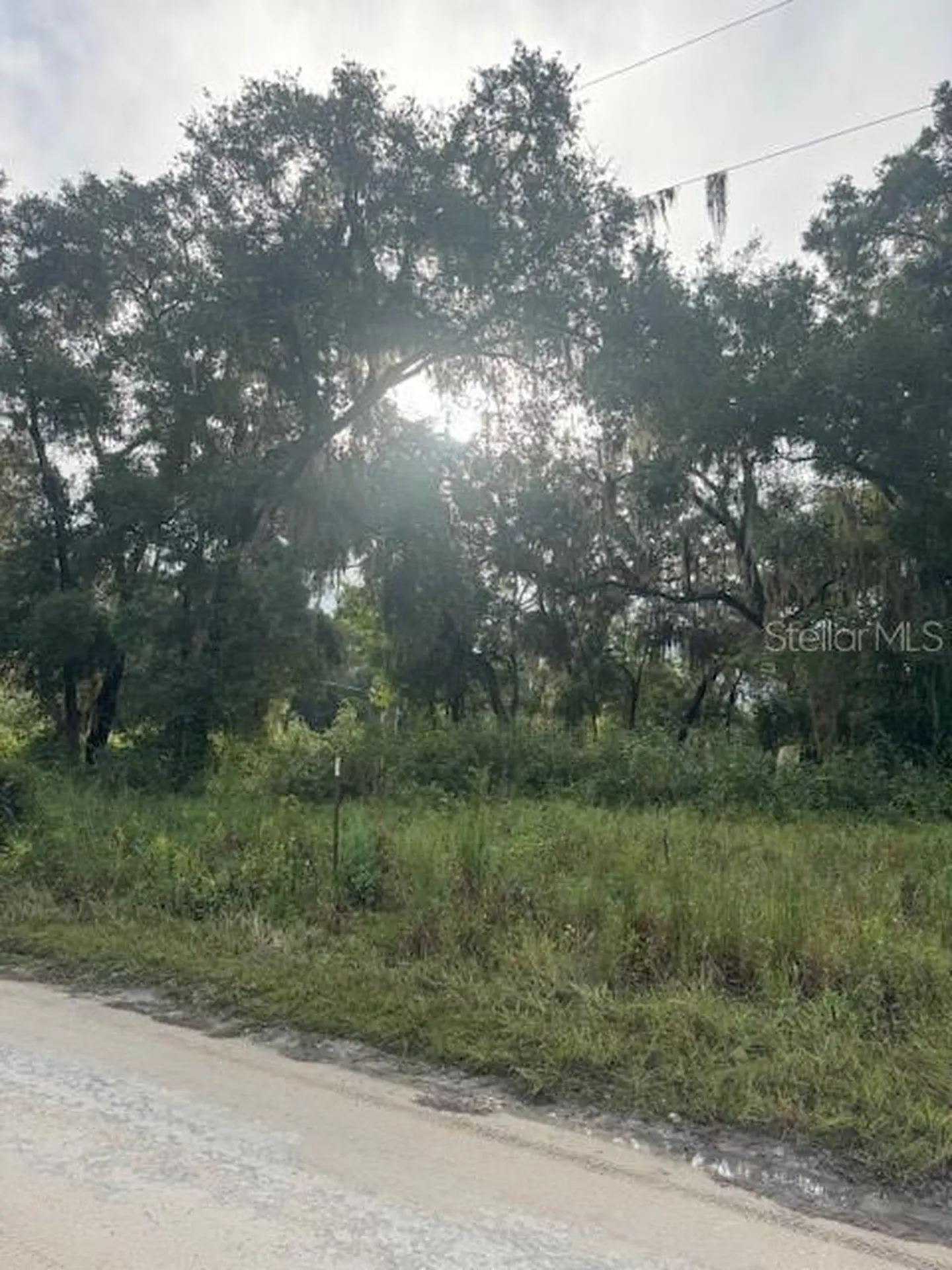 104 Floradandy Road Hawthorne FL 32640