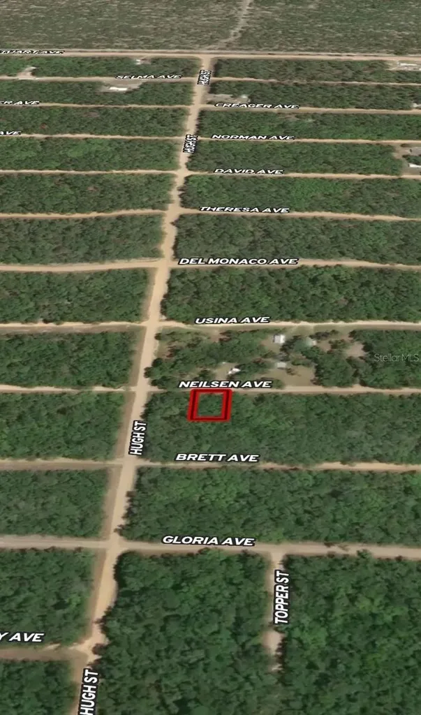 Lot 35 Neilsen Avenue Interlachen FL 32148