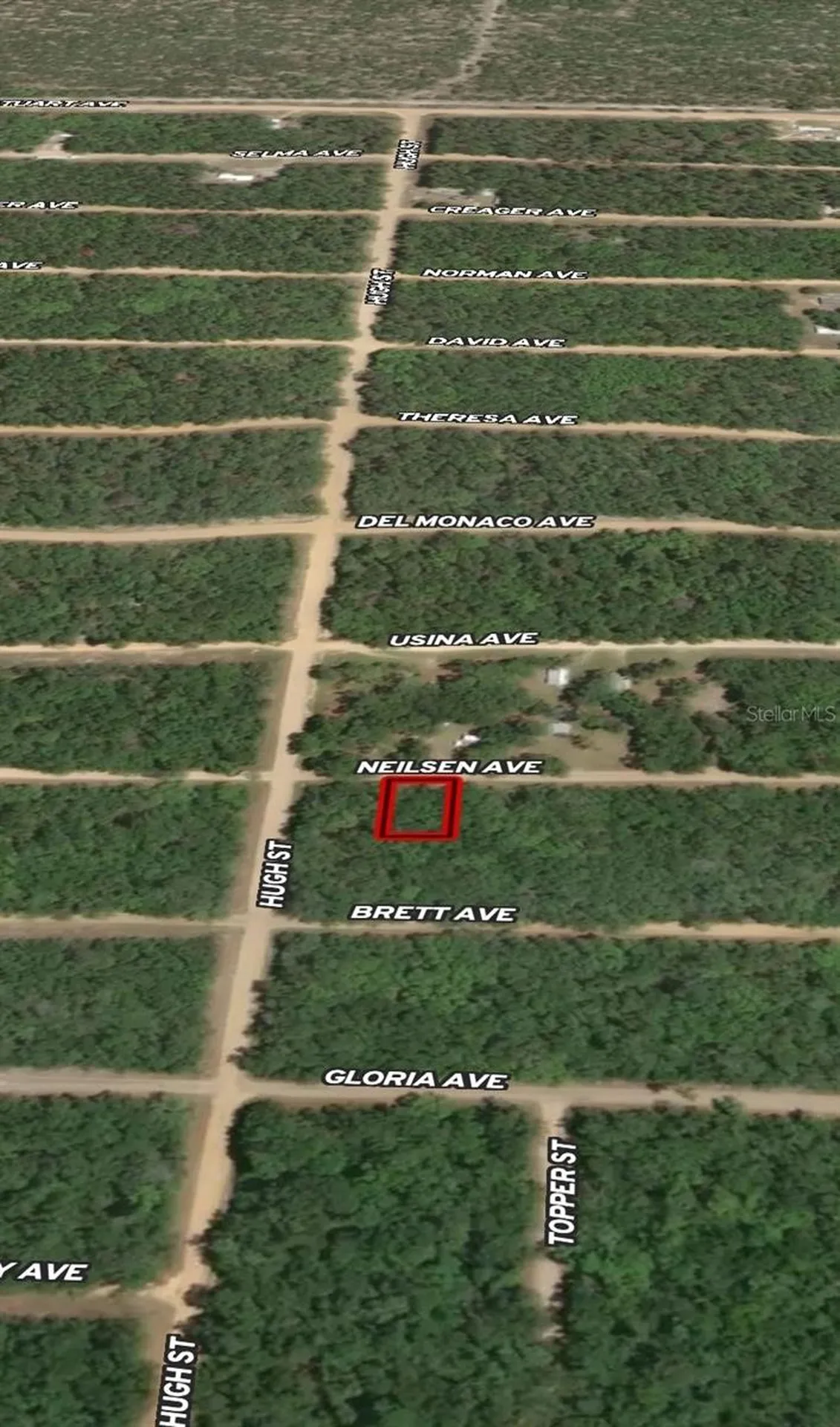 Lot 35 Neilsen Avenue Interlachen FL 32148