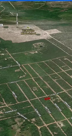 Lot 35 Neilsen Avenue Interlachen FL 32148