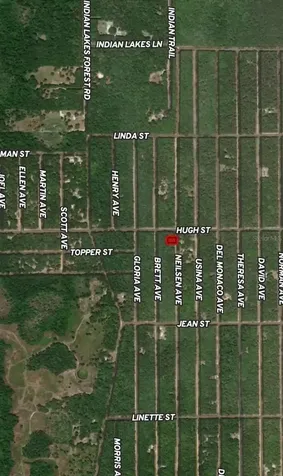 Lot 35 Neilsen Avenue Interlachen FL 32148
