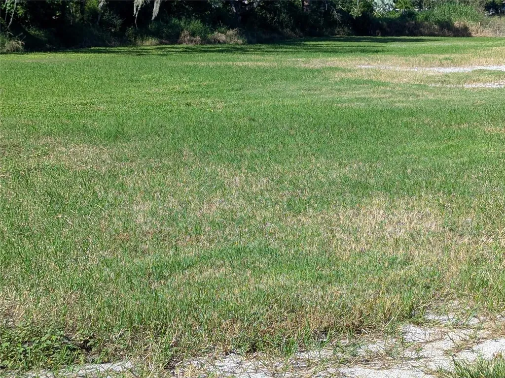 SE Carlstrom Field Road Arcadia FL 34266