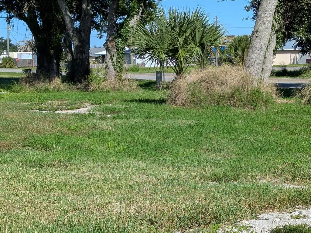SE Carlstrom Field Road Arcadia FL 34266