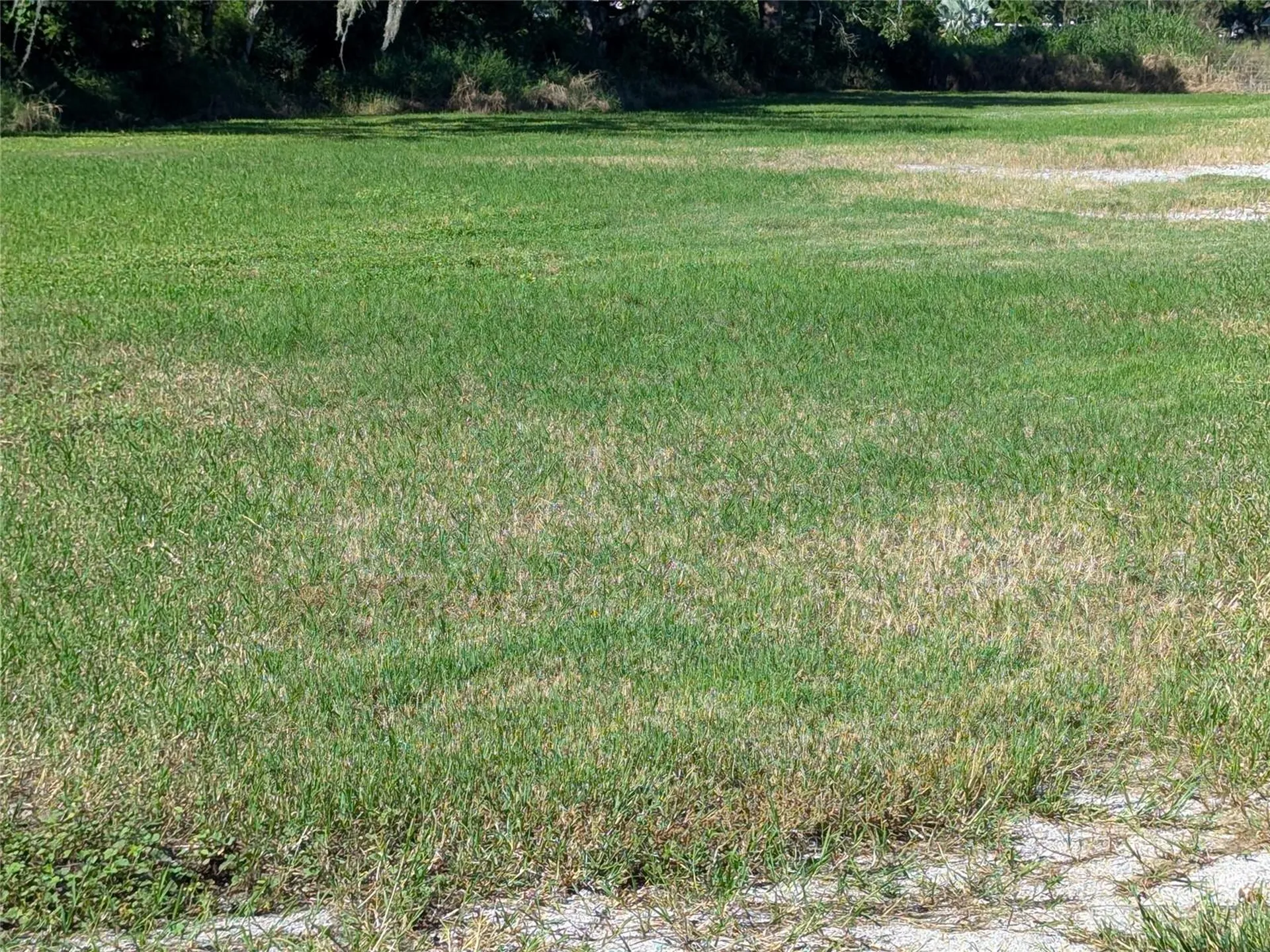 SE Carlstrom Field Road Arcadia FL 34266