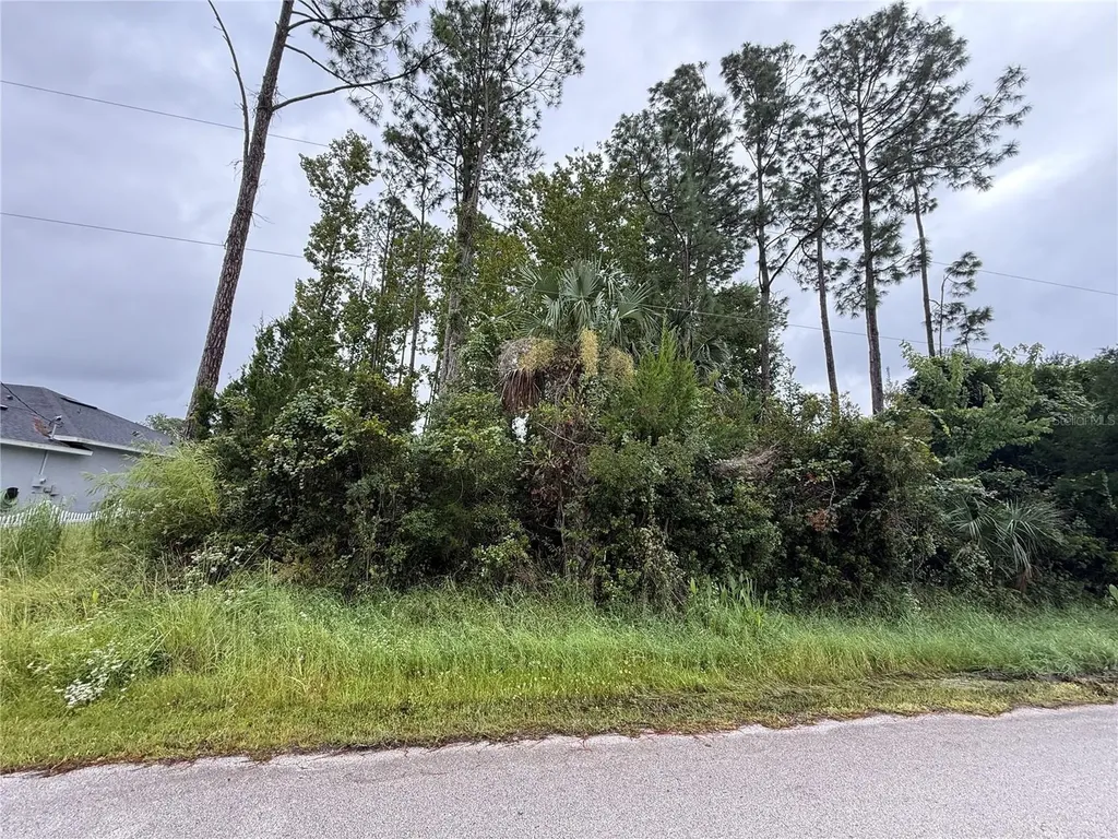 124 Fenimore Lane Palm Coast FL 32137