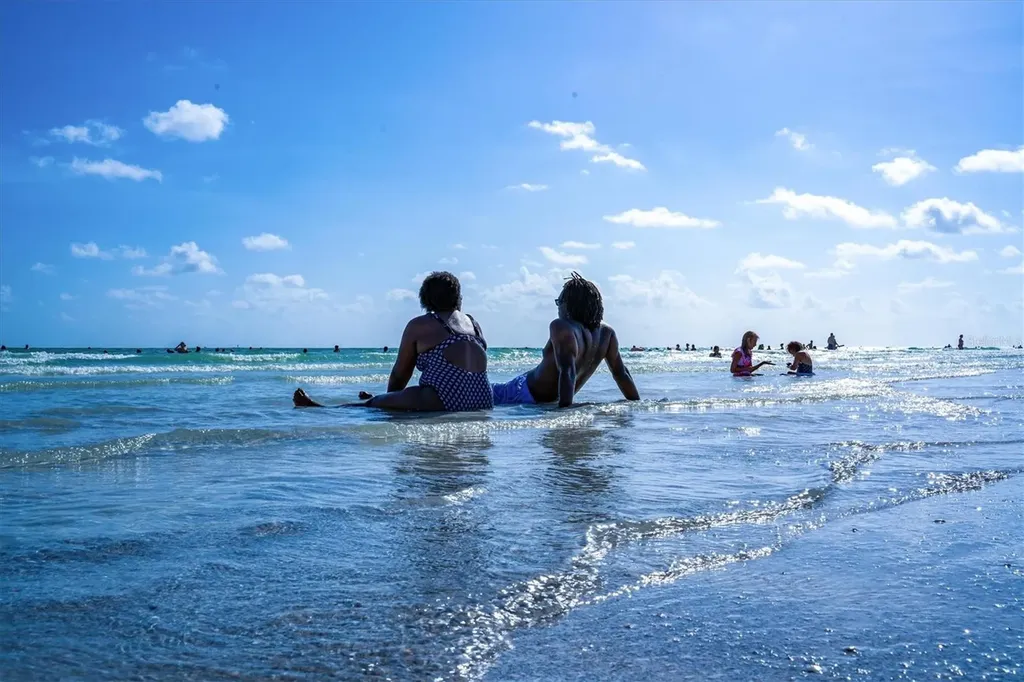 2232 Bahia Vista Street Sarasota FL 34239