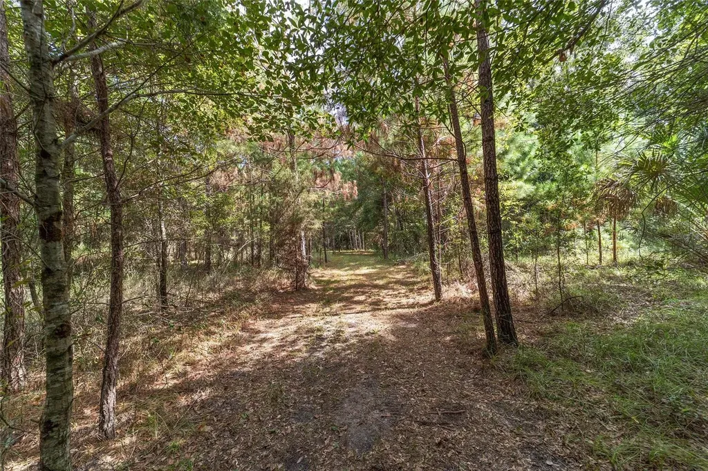 15600 NW 185th Street Williston FL 32696