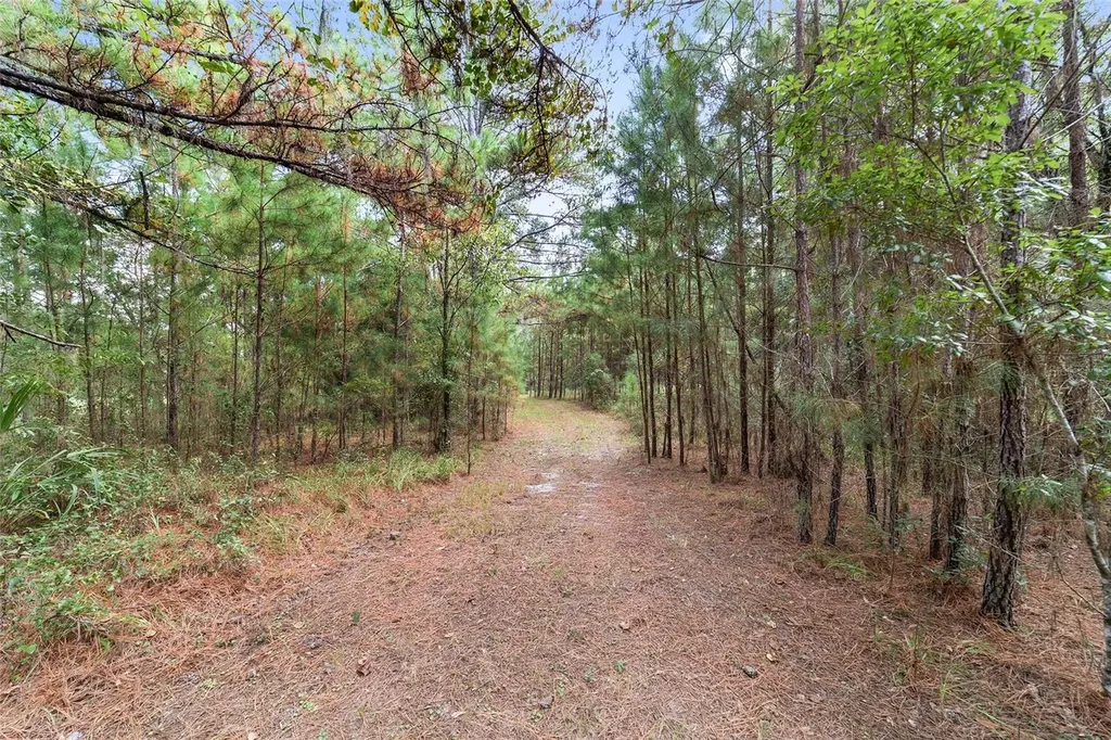 15600 NW 185th Street Williston FL 32696