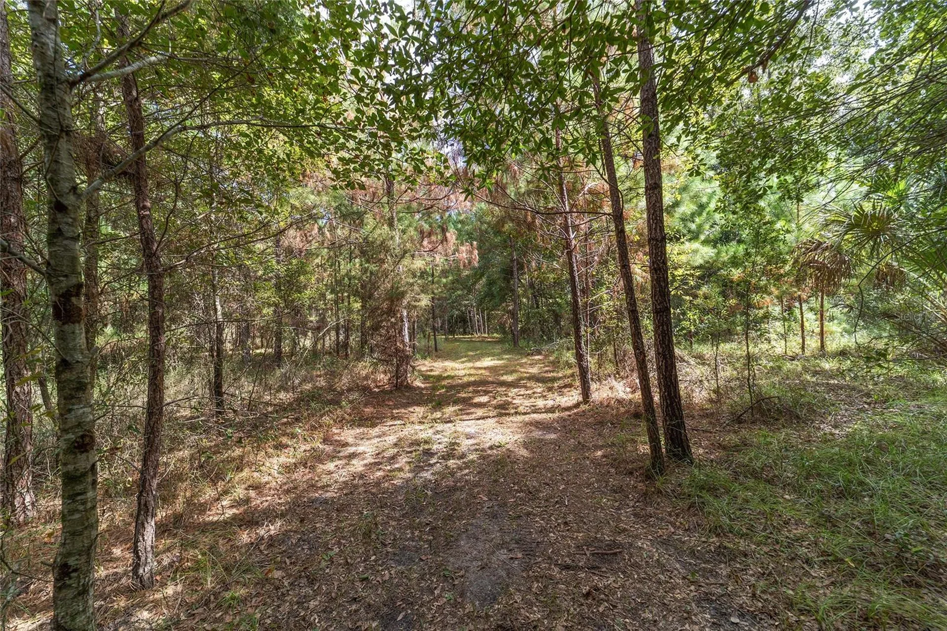 15600 NW 185th Street Williston FL 32696