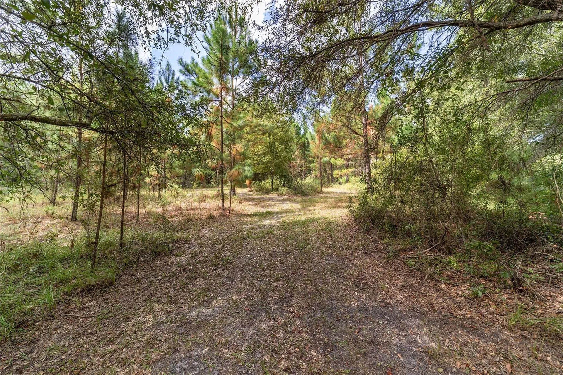 15600 NW 185th Street Williston FL 32696