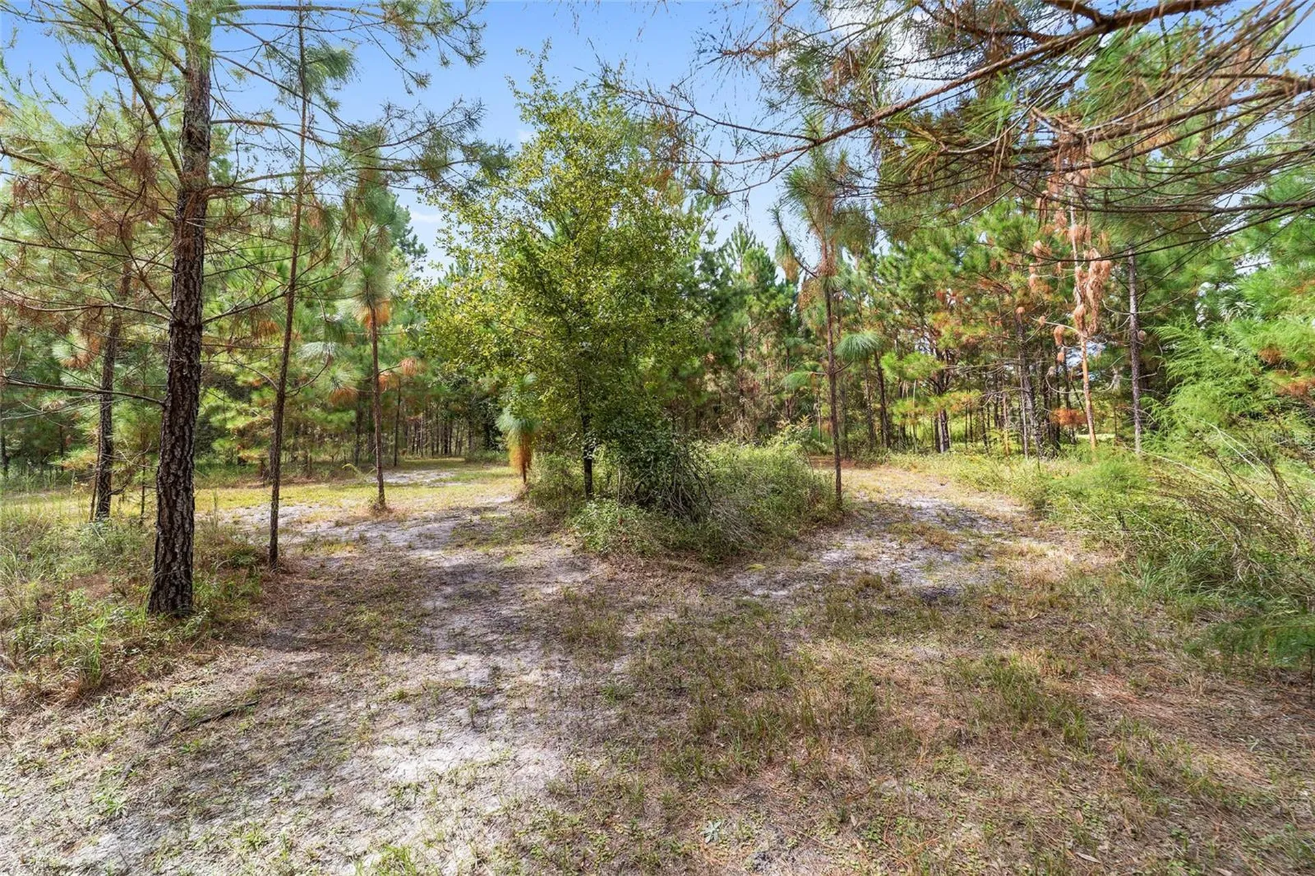 15600 NW 185th Street Williston FL 32696