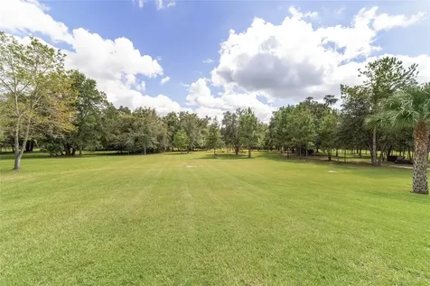15600 NW 185th Street Williston FL 32696