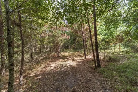 15600 NW 185th Street Williston FL 32696